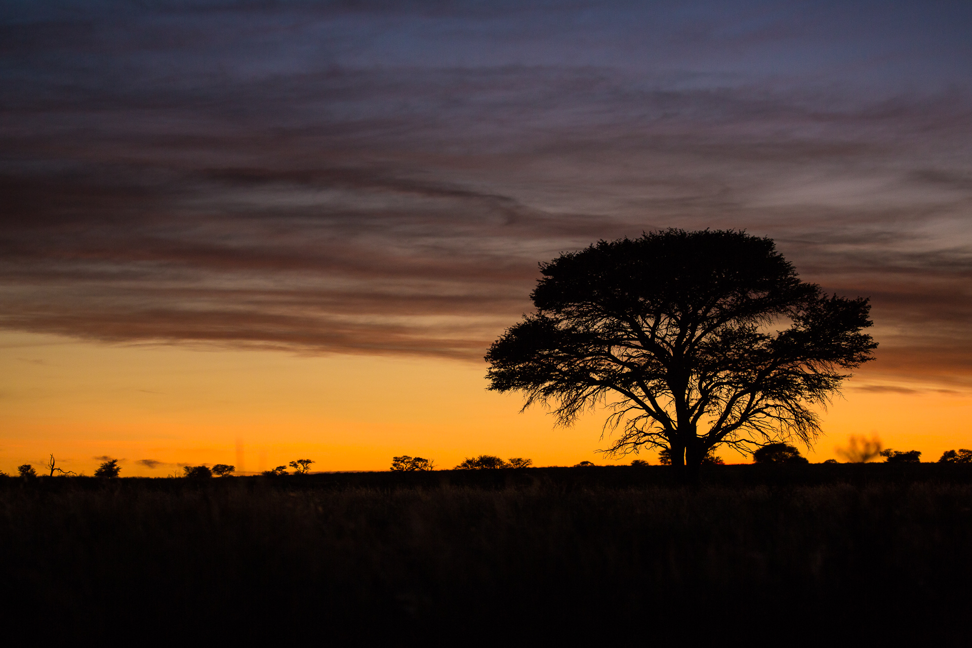 Sunset, Krugerpark, South Africa